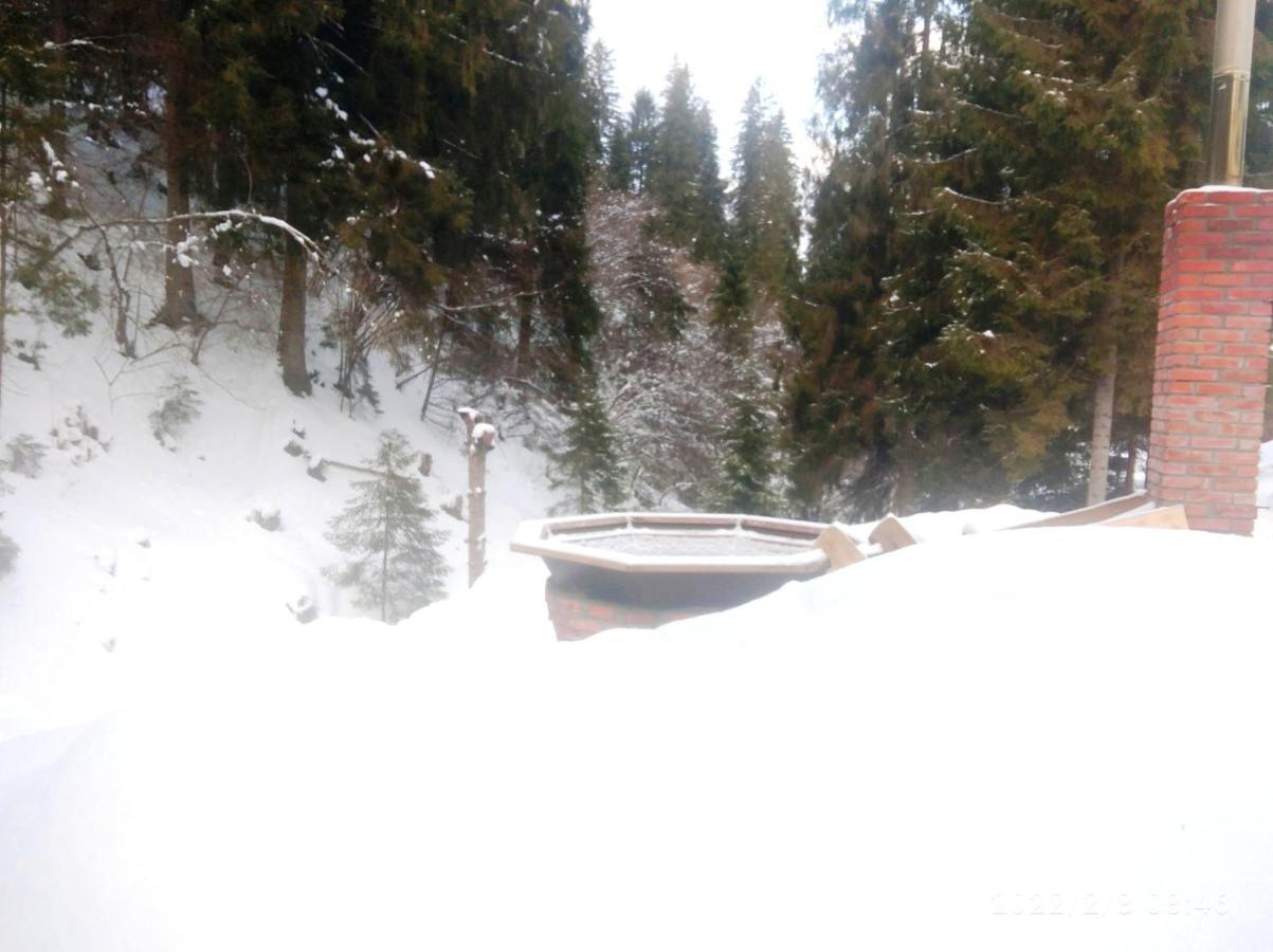 Bungalow In Mauntains With Chan Near The Forest Slavske Εξωτερικό φωτογραφία